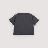 Nico T-shirt Galactic Grey Melange