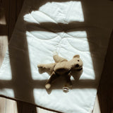 Baby blanket Dragon fly - beige van KAS Kopenhagen | Kids Conceptstore Le Fanfare