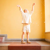 Bisgaard pilou tex - cacao van Bisgaard | Kids Conceptstore Le Fanfare