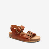 Bisgaard Alfie Cognac