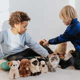 B.T. Chaps Bertha the American Bulldog floppy in giftbox van BON TON TOYS | Kids Conceptstore Le Fanfare