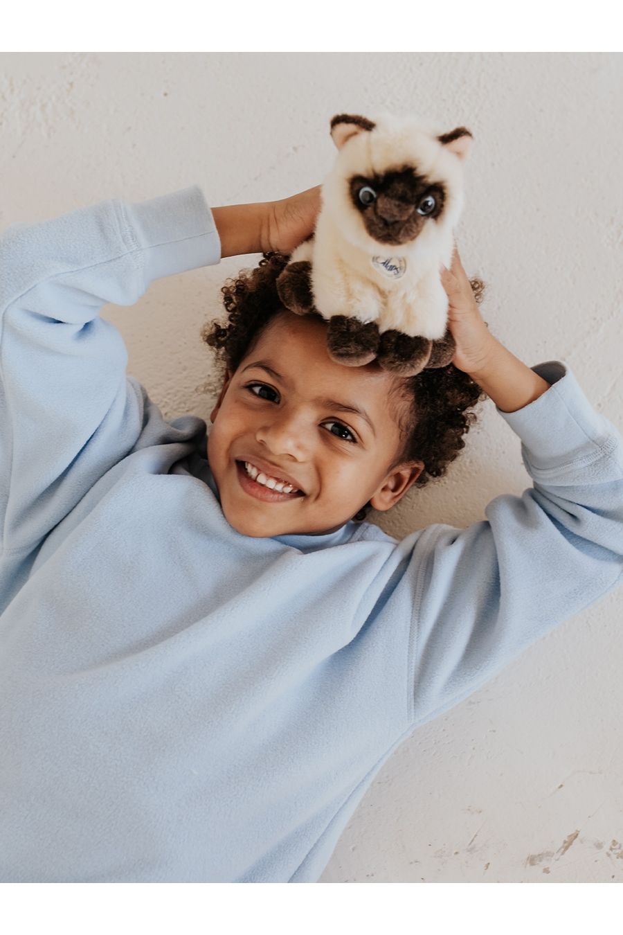 B.T. Chaps Eddie the Siamese in giftbox van BON TON TOYS | Kids Conceptstore Le Fanfare