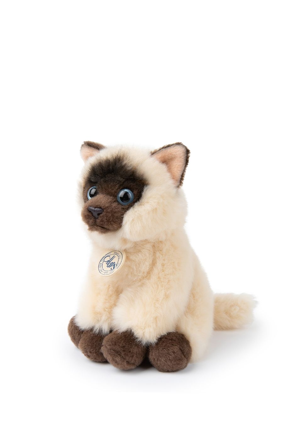 B.T. Chaps Eddie the Siamese in giftbox van BON TON TOYS | Kids Conceptstore Le Fanfare