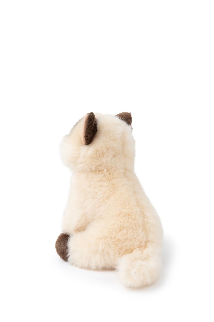 B.T. Chaps Eddie the Siamese in giftbox van BON TON TOYS | Kids Conceptstore Le Fanfare