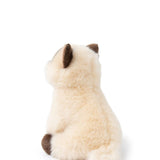 B.T. Chaps Eddie the Siamese in giftbox van BON TON TOYS | Kids Conceptstore Le Fanfare