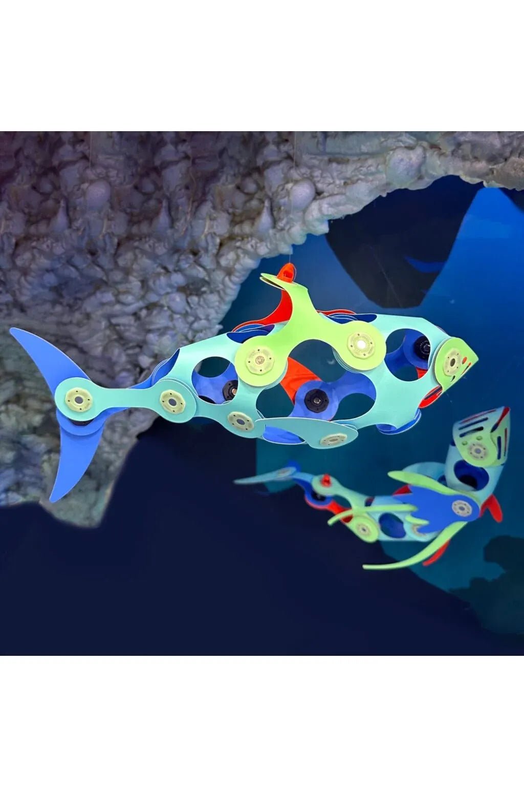 Clixo | Ocean Creatures (24 pcs) van Clixo | Kids Conceptstore Le Fanfare