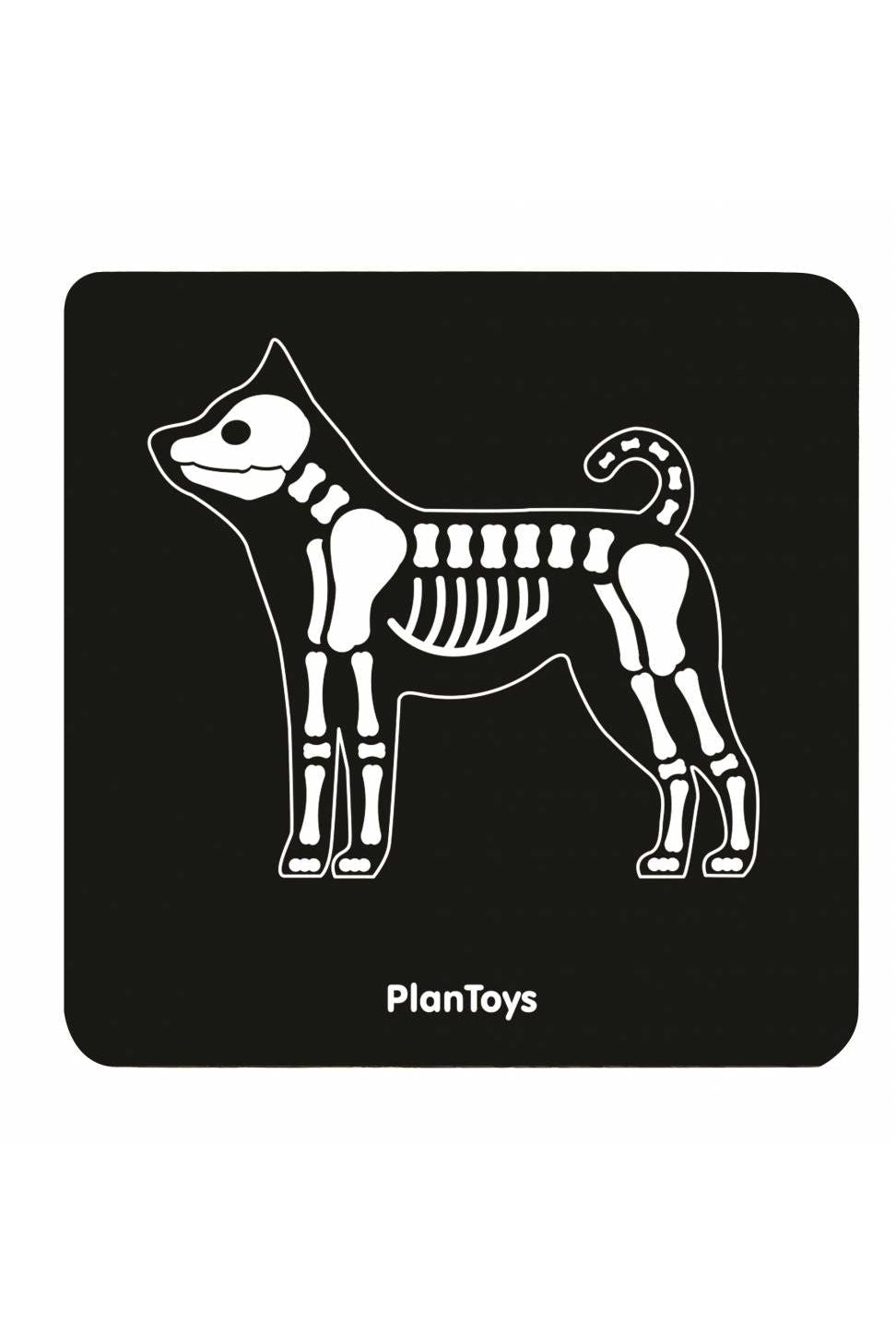 Dierenarts set van Plan Toys | Kids Conceptstore Le Fanfare