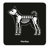 Dierenarts set van Plan Toys | Kids Conceptstore Le Fanfare