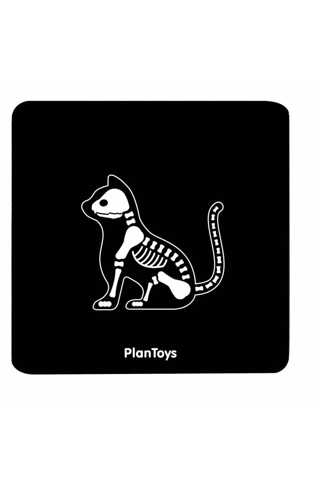 Dierenarts set van Plan Toys | Kids Conceptstore Le Fanfare