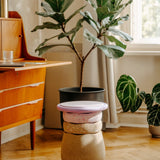 Dynamic All - Set van 5 | Winter 2026 Special van Stapelstein | Kids Conceptstore Le Fanfare