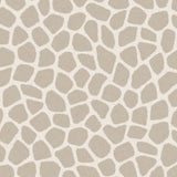 Explore - 323031 van Eijffinger | Kids Conceptstore Le Fanfare