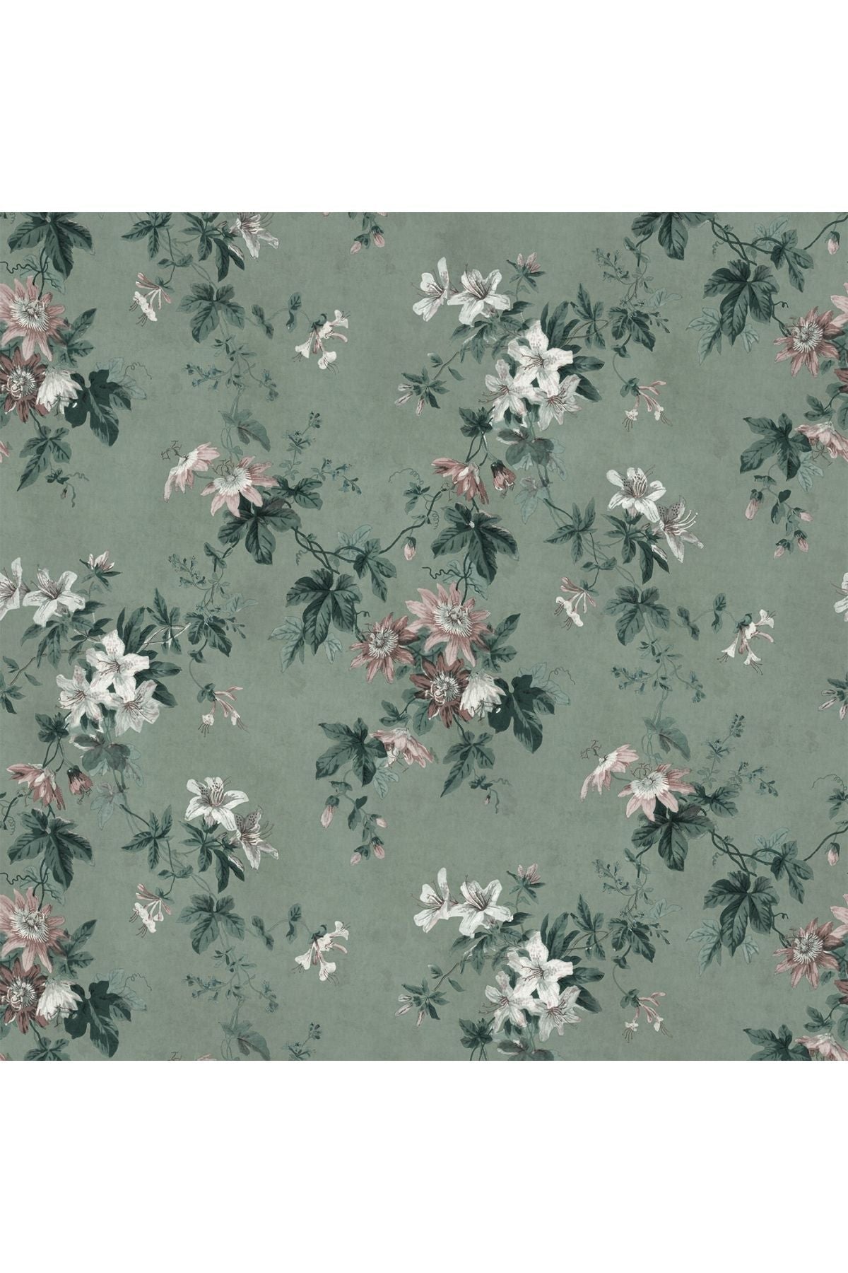 Faded Passion, Sage Green van Sandberg | Kids Conceptstore Le Fanfare