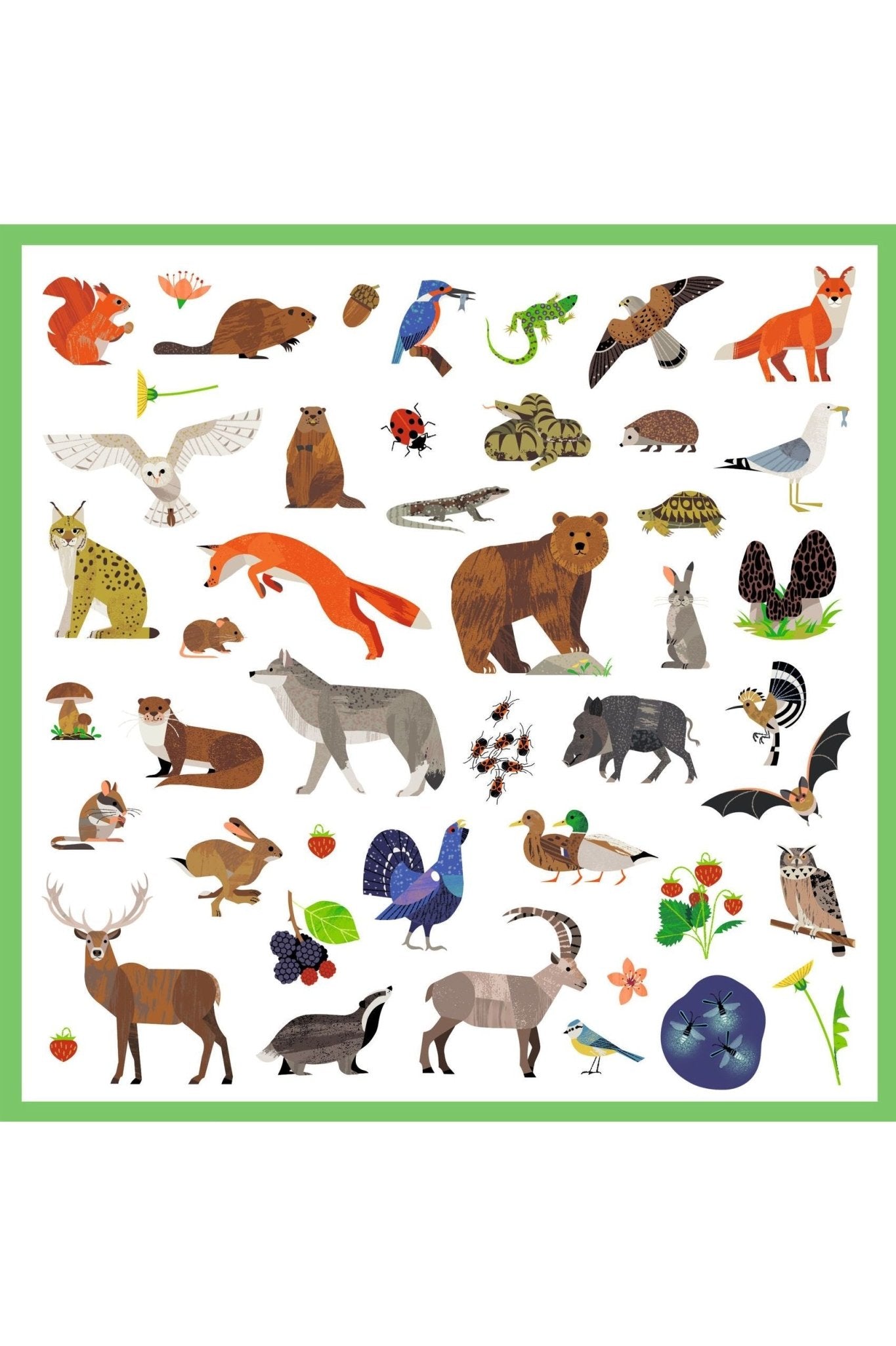 Fauna - Stickers van Djeco | Kids Conceptstore Le Fanfare