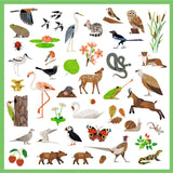 Fauna - Stickers van Djeco | Kids Conceptstore Le Fanfare