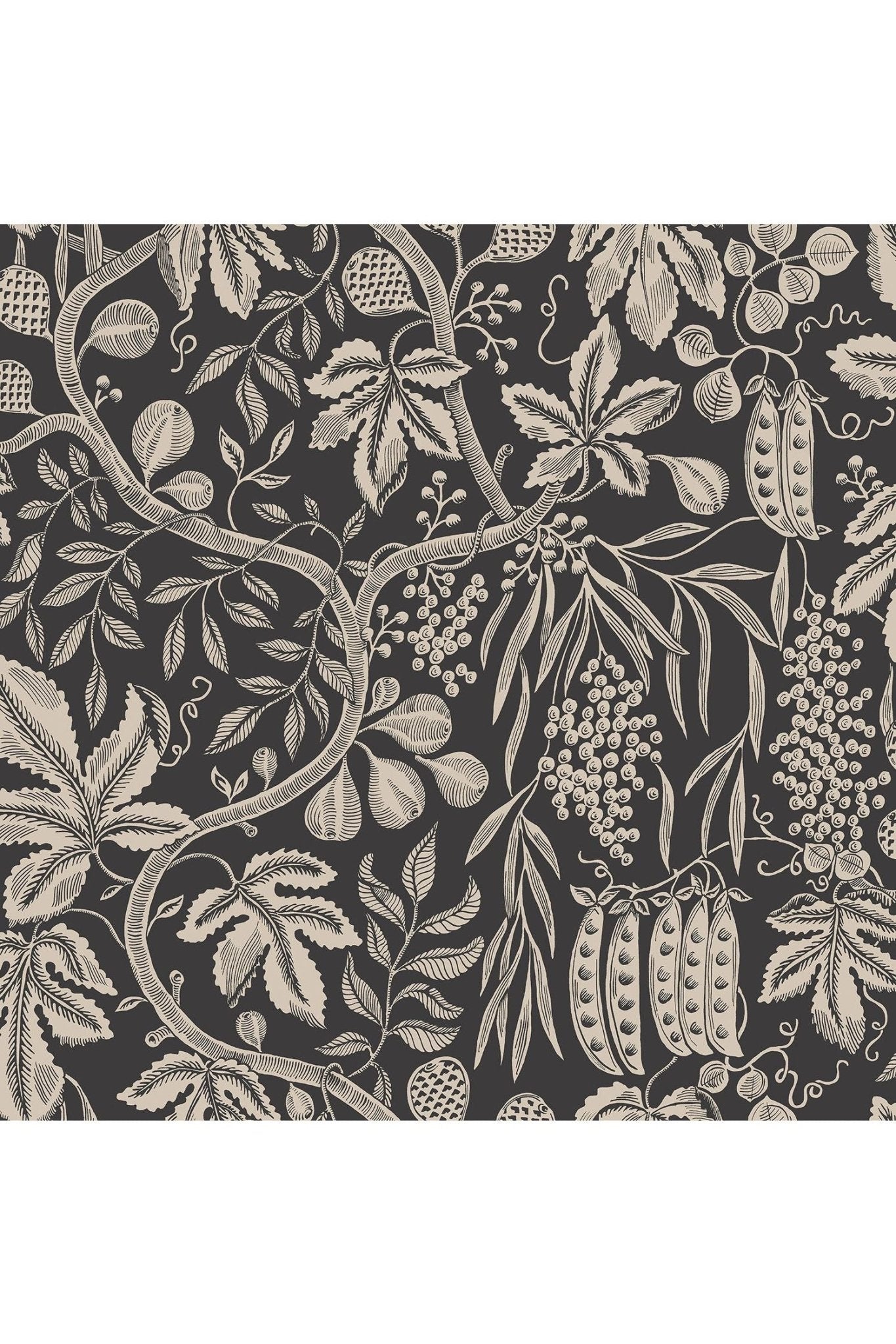 Fig Garden, Charcoal van Sandberg | Kids Conceptstore Le Fanfare