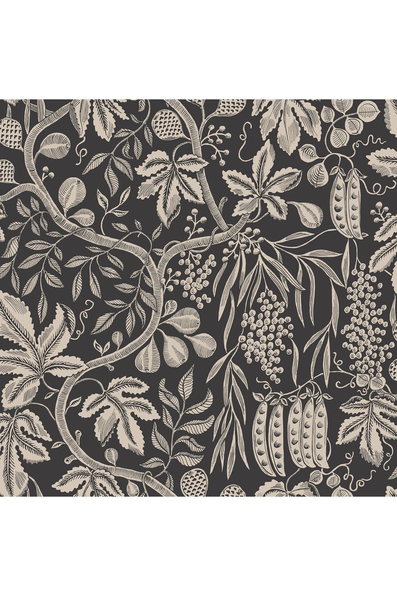 Fig Garden, Charcoal van Sandberg | Kids Conceptstore Le Fanfare