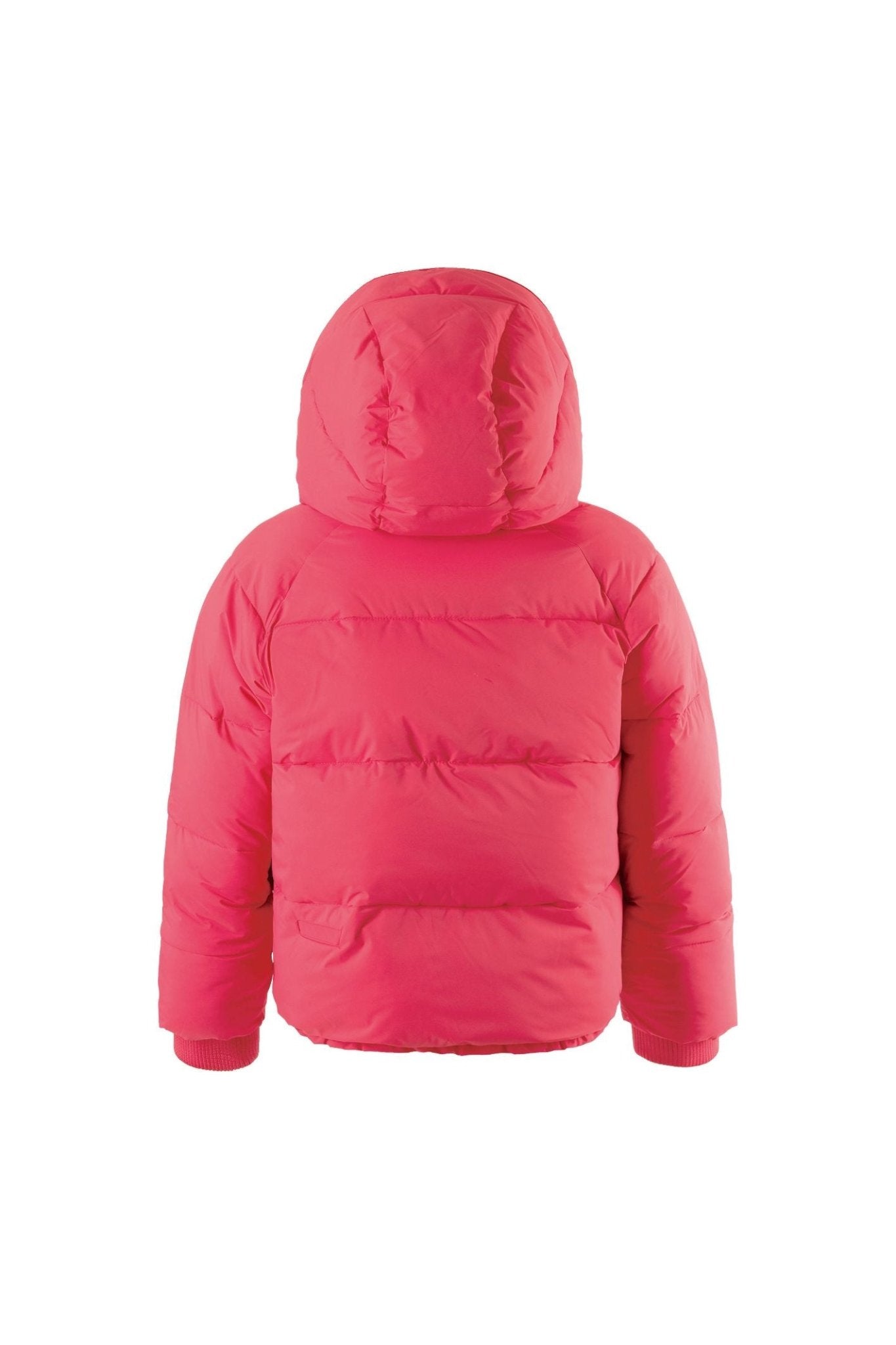 Flashy Dragon - paradise pink van GOSOAKY | Kids Conceptstore Le Fanfare
