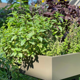 Gardenworks