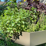 Gardenworks Station van Weltevree | Kids Conceptstore Le Fanfare
