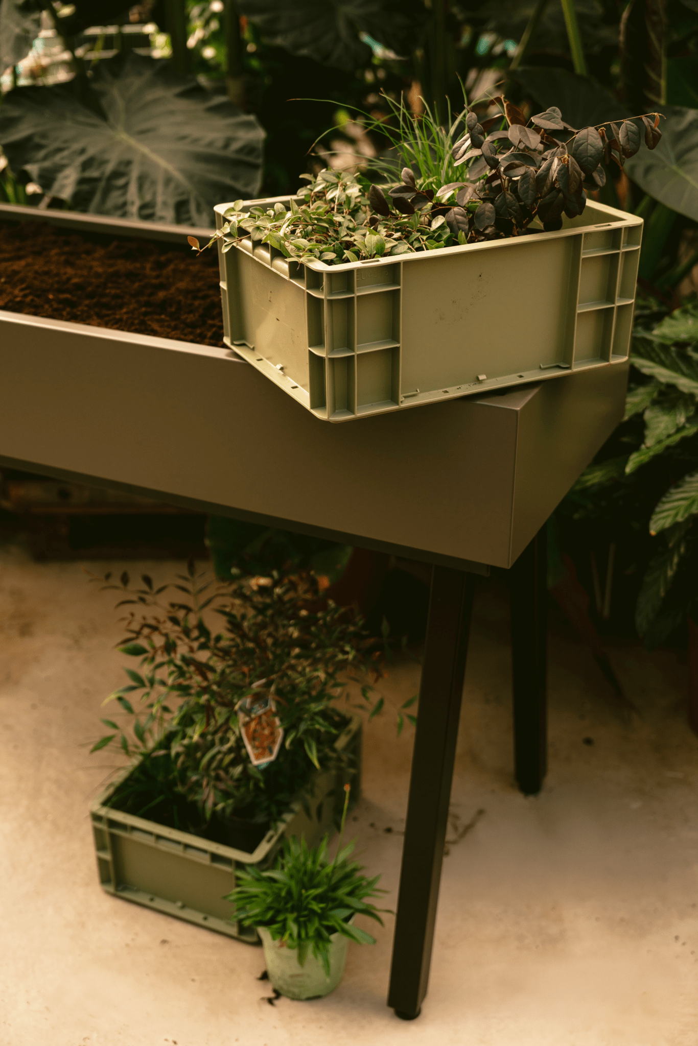 Gardenworks van Weltevree | Kids Conceptstore Le Fanfare