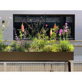 Gardenworks van Weltevree | Kids Conceptstore Le Fanfare