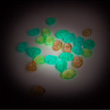 Glow in the dark meteorieten van Moulin Roty | Kids Conceptstore Le Fanfare