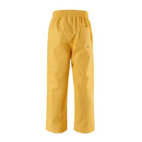 Hidden Dragon Snapdragon Yellow