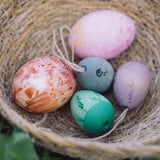 Aurora Eggs (Cold Colors)