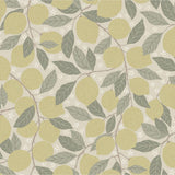 Gronhaga - Anemone - 44116 van Midbec | Kids Conceptstore Le Fanfare