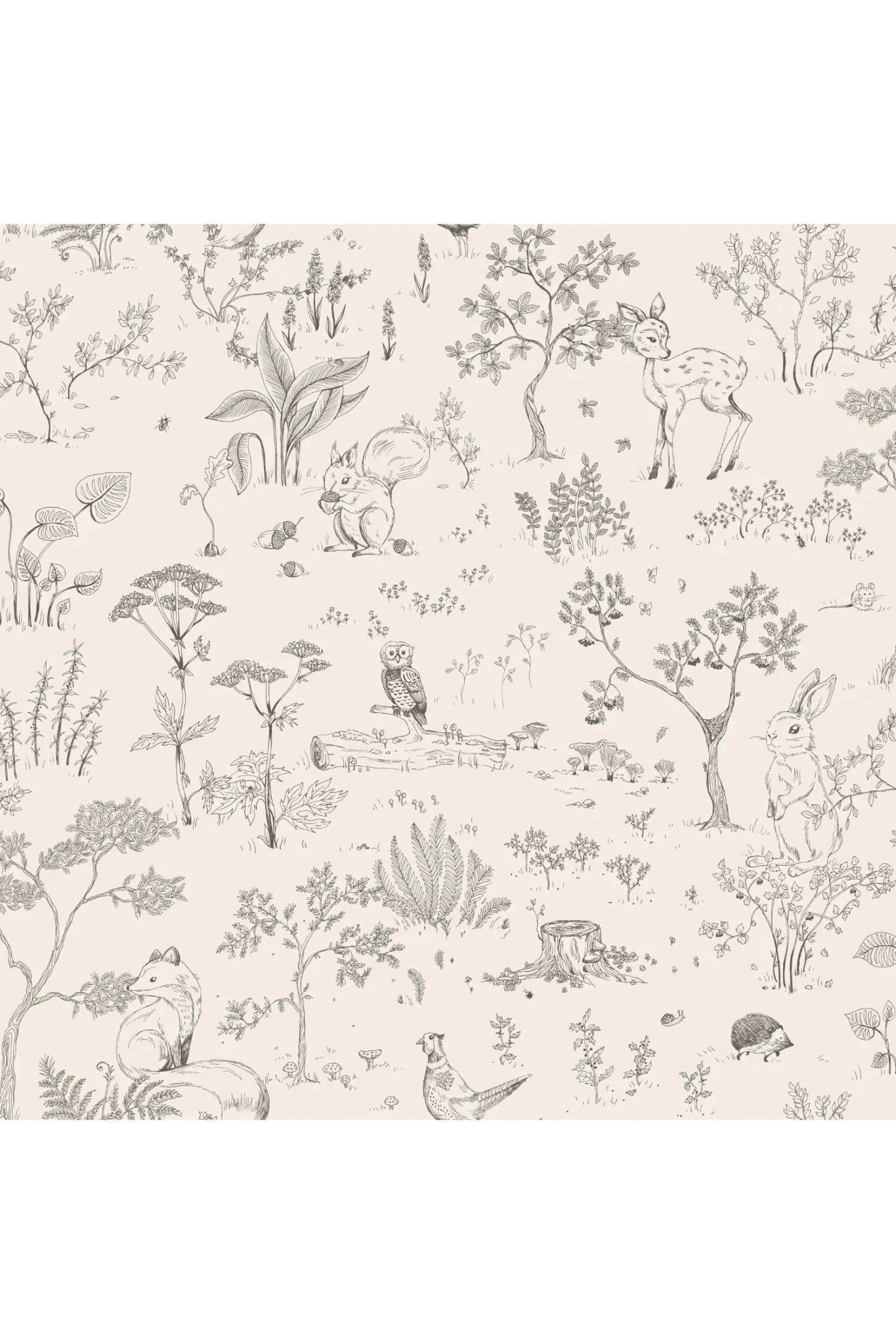 Hollie, Graphite van Sandberg | Kids Conceptstore Le Fanfare