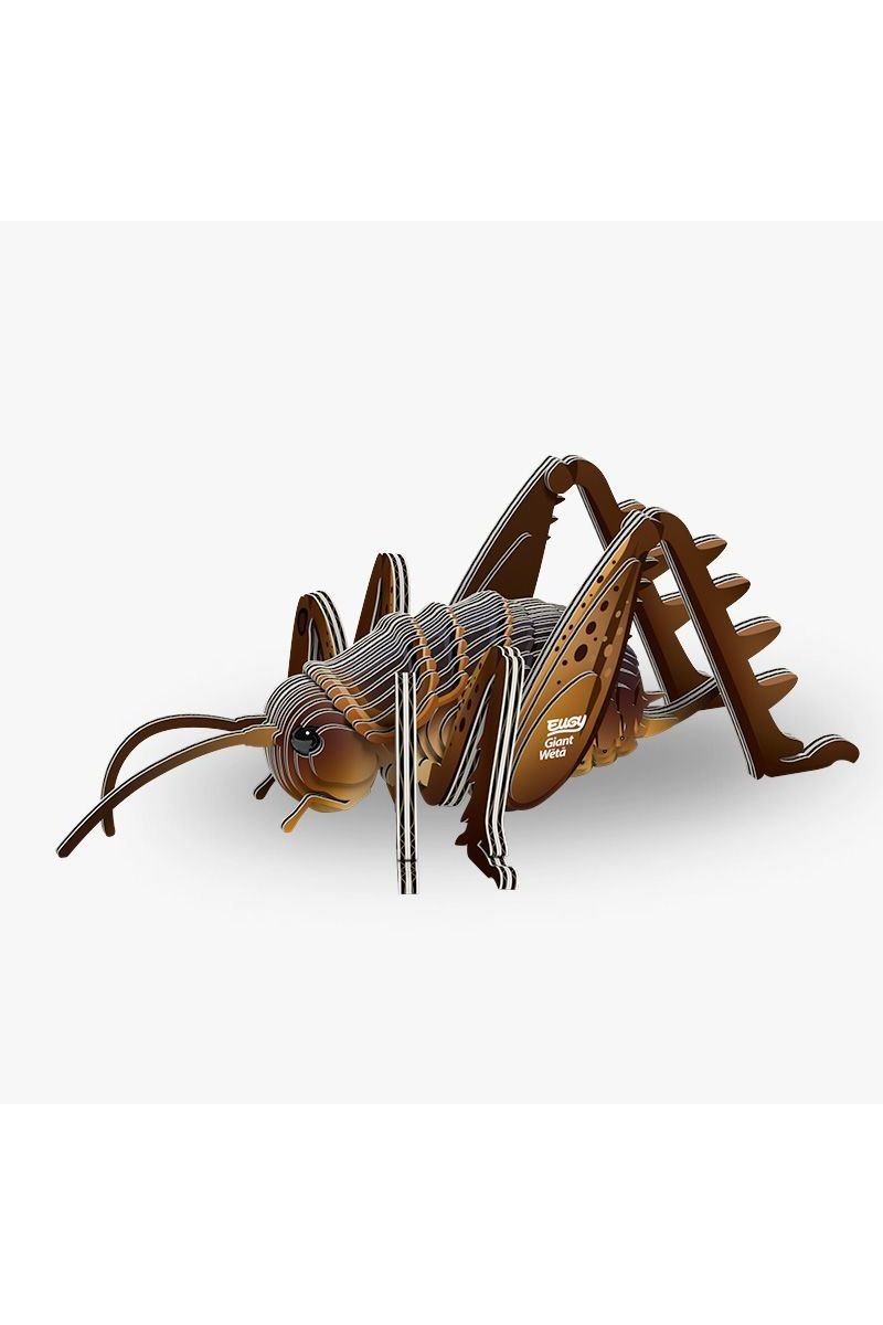 Insect - Reuzenweta van Eugy | Kids Conceptstore Le Fanfare