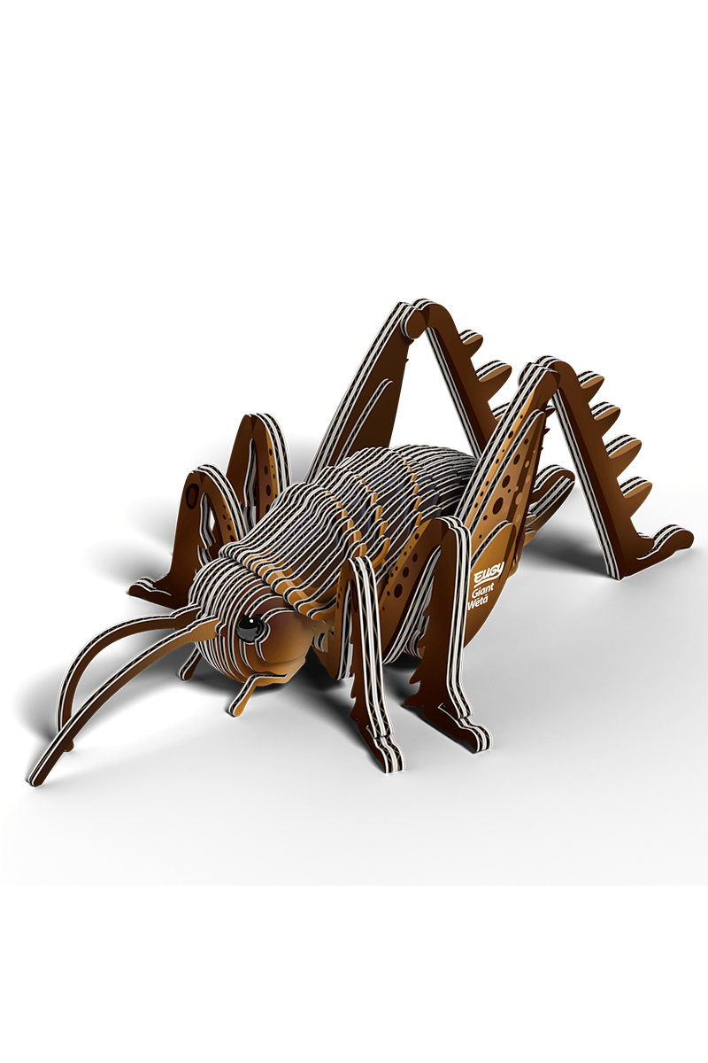Insect - Reuzenweta van Eugy | Kids Conceptstore Le Fanfare