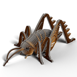 Insect - Reuzenweta van Eugy | Kids Conceptstore Le Fanfare