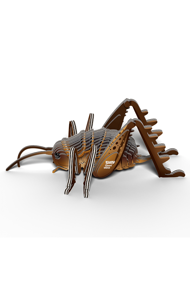Insect - Reuzenweta van Eugy | Kids Conceptstore Le Fanfare