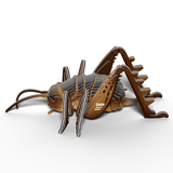 Insect - Reuzenweta van Eugy | Kids Conceptstore Le Fanfare