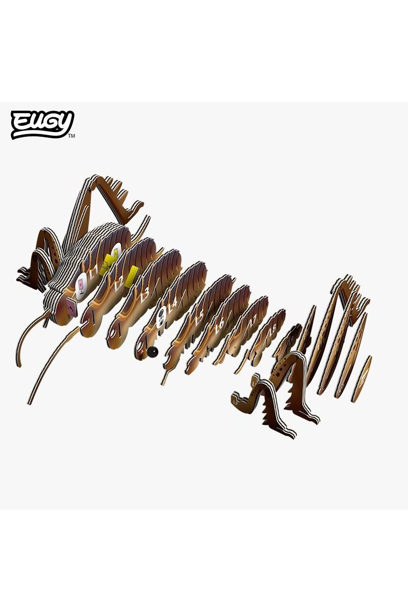 Insect - Reuzenweta van Eugy | Kids Conceptstore Le Fanfare