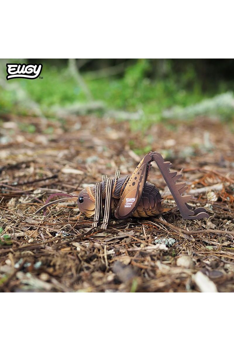Insect - Reuzenweta van Eugy | Kids Conceptstore Le Fanfare