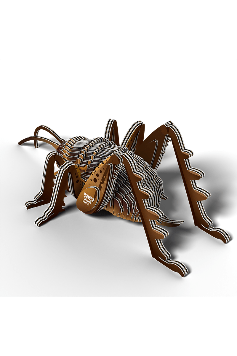 Insect - Reuzenweta van Eugy | Kids Conceptstore Le Fanfare