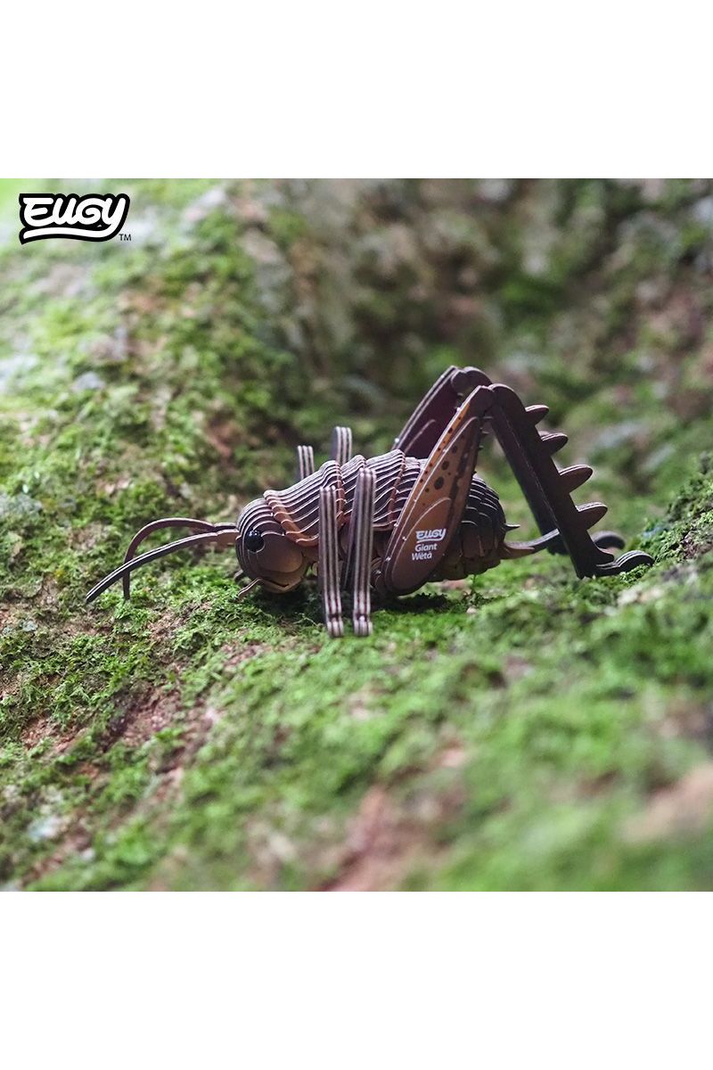 Insect - Reuzenweta van Eugy | Kids Conceptstore Le Fanfare