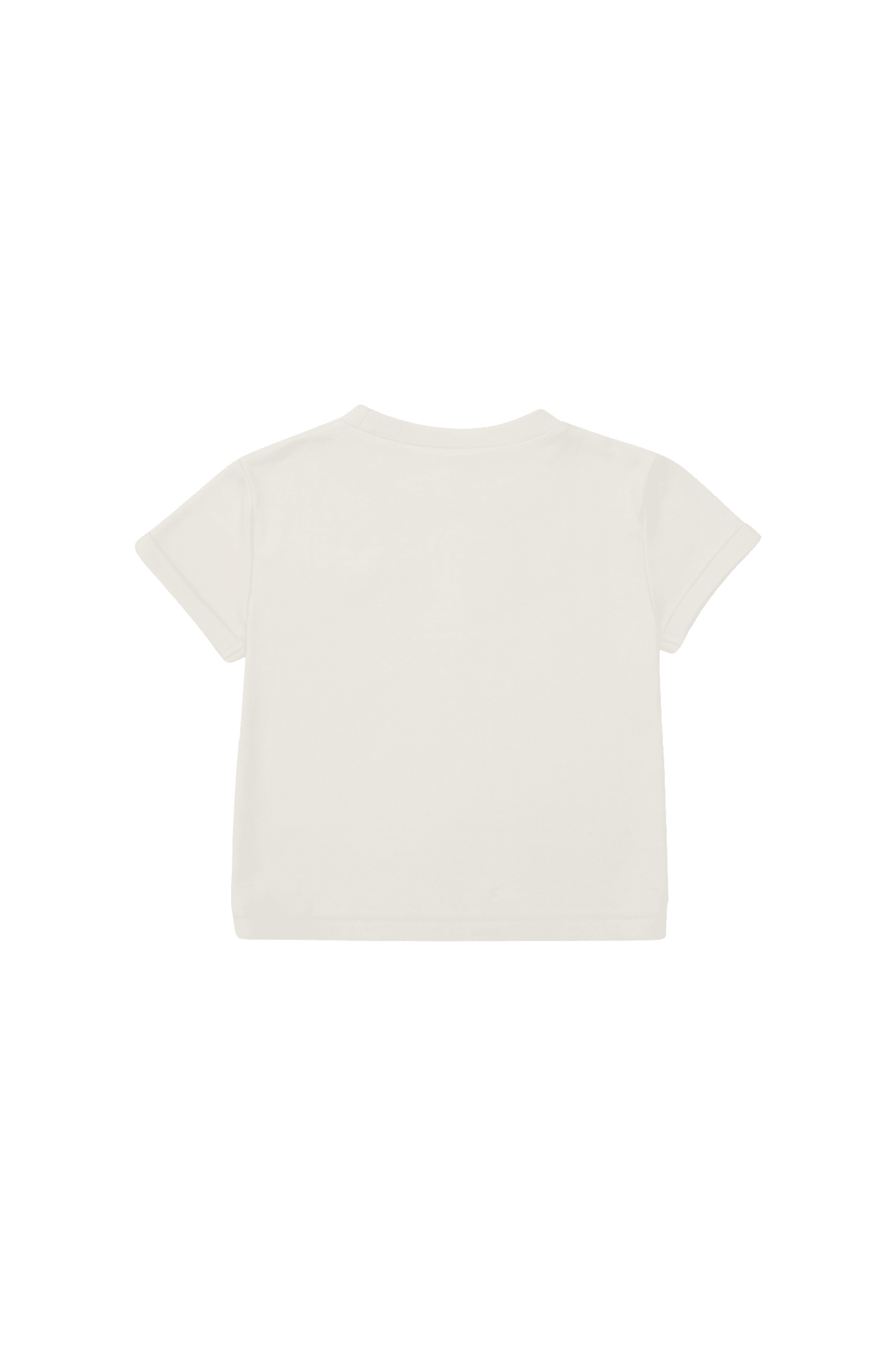 Jarne T-shirt - Koala - Birch van Donsje Amsterdam | Kids Conceptstore Le Fanfare