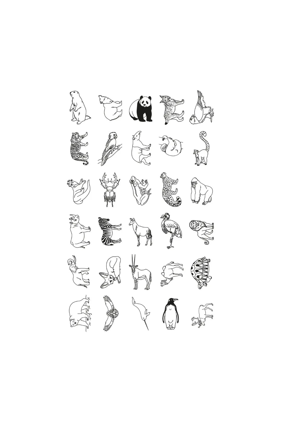 KidyDraw Mini - refill - Animals world | Oceans & pirates van Kidywolf | Kids Conceptstore Le Fanfare