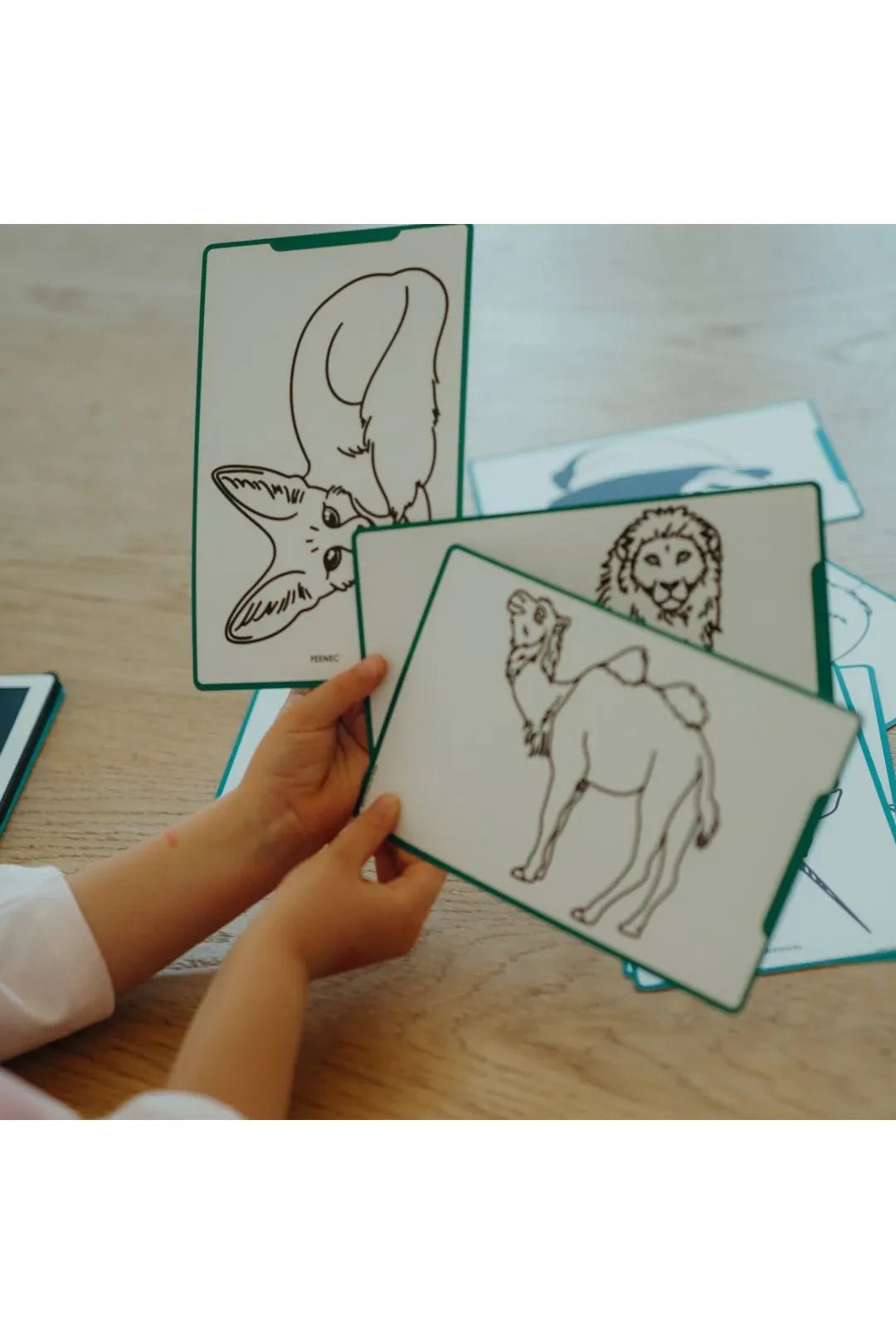 KidyDraw Mini - refill - Animals world | Oceans & pirates van Kidywolf | Kids Conceptstore Le Fanfare