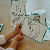 Kidywolf Kidydraw-mini - Animals Around The World van Kidywolf | Kids Conceptstore Le Fanfare