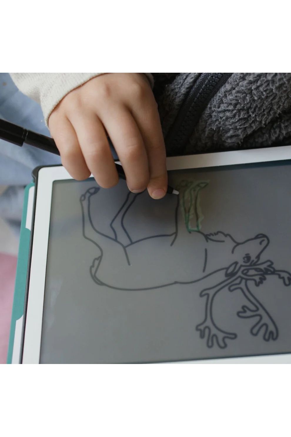 Kidywolf Kidydraw-mini - Animals Around The World van Kidywolf | Kids Conceptstore Le Fanfare