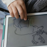 Kidywolf Kidydraw-mini - Animals Around The World van Kidywolf | Kids Conceptstore Le Fanfare