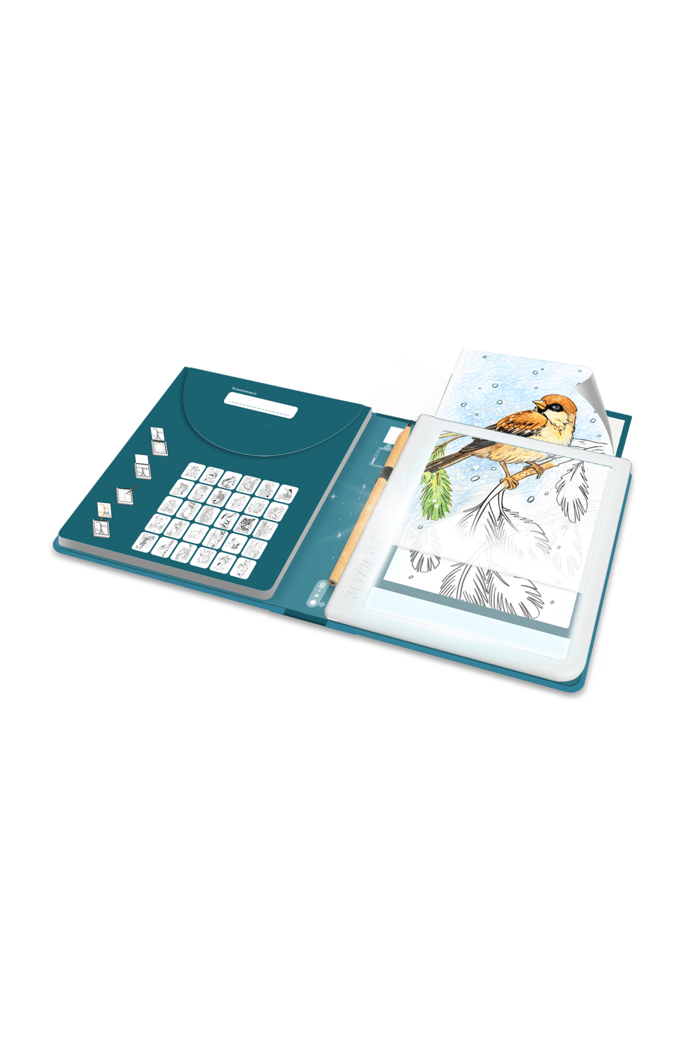 Kidywolf Kidydraw-pad - Animals van Kidywolf | Kids Conceptstore Le Fanfare