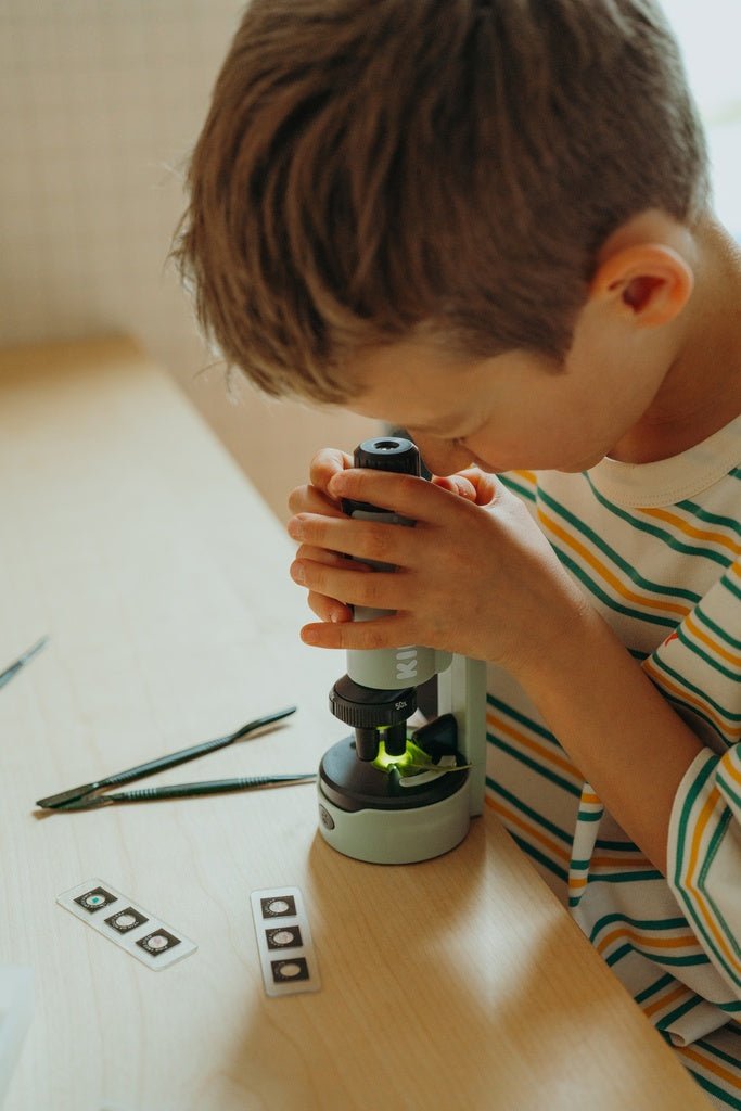 Kidywolf Kidymicroscope - Green van Kidywolf | Kids Conceptstore Le Fanfare