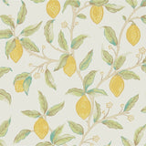 Lemon Tree Wallpaper - Bay Leaf van Morris & Co | Kids Conceptstore Le Fanfare