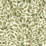 Lina II - Kirke - 65107 van Midbec | Kids Conceptstore Le Fanfare