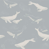 Newbie Wallpaper - Whales - Blue van Boråstapeter | Kids Conceptstore Le Fanfare